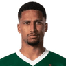 Murilo Cerqueira Paim