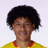 Angelo Javier Mina Jara