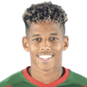 André Filipe Cunha Vidigal