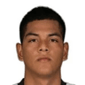 Joao Alberto Grimaldo Ubidia