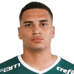 Henri Marinho dos Santos
