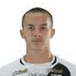 Felipe Amaral Casarin Damasceno