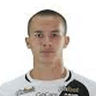 Felipe Amaral Casarin Damasceno