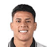 Matheus Martins Silva dos Santos