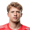 Theo Nicolini Sander