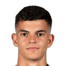 João Gonçalo Carapinha Carvalho