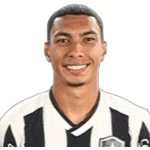 Vinicius Lima Serafim