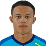 Pedro Henrique Silva dos Santos