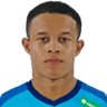 Pedro Henrique Silva dos Santos