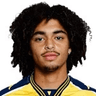 Tiago Araújo Brito