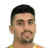 Raghed Alaa Mohammed Najjar