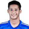 Tevis Gabriel Alves Santos
