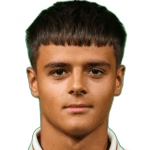 Luka Zarić
