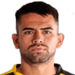 Elvis Hernández Huenten