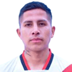Luis Fernando Pavia Mamani