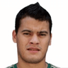 William Gabriel Mendieta Pintos