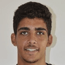 Victor Henrique Carvalho Caetano