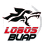 Lobos Buap