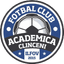 FC Clinceni