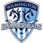 Wilmington Hammerheads